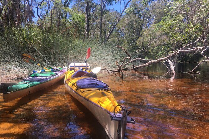 Self-Guided Noosa Everglades Kayak Tour - Reviews and Ratings