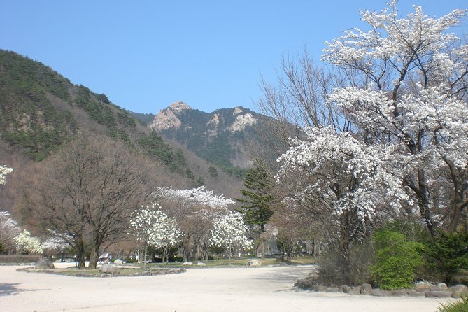 Seoraksan National Park, Temple, Fortress Day Tour From Seoul - Tour Availability