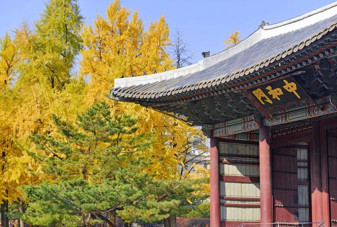 Seoul : Deoksugung Palace Half Day Walking Tour - Restrictions and Considerations
