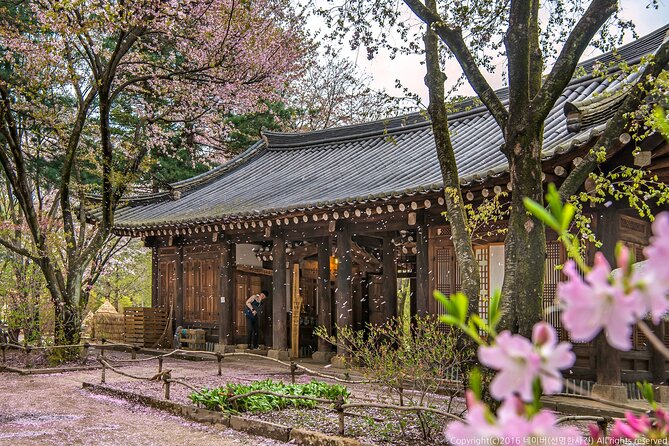 Seoul to Nami Island Round Trip Shuttle Bus Service - Additional Information