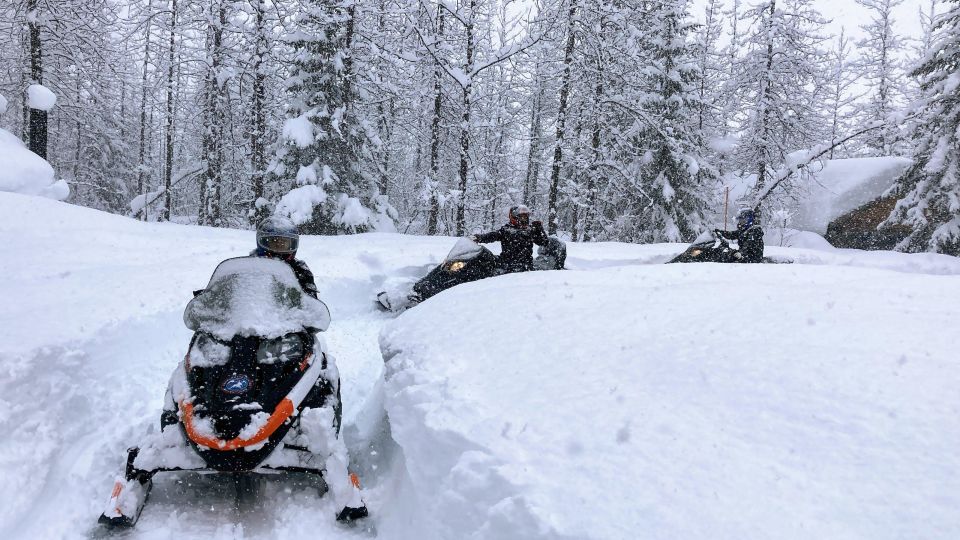 Seward: Kenai Fjords National Park Guided Snowmobiling Tour - Full Tour Description