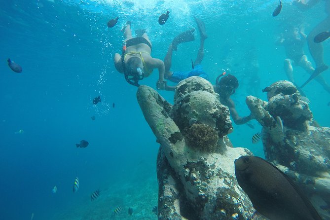 Sharing Snorkeling Trip Gili Islands Depart Lombok/Gili Trawangan - Tips for Enjoying the Experience