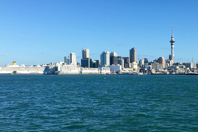 Shore Excursion: Half Day Small Group Auckland Scenic Tour - 4 HOURS - Sum Up
