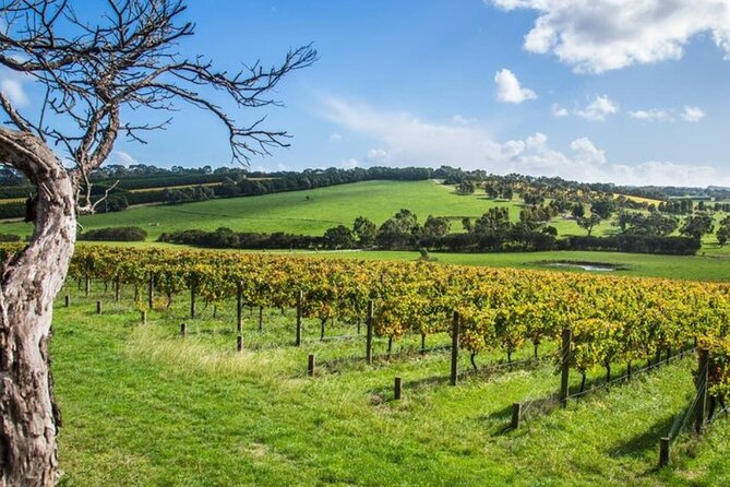 Shore Excursion Mornington Peninsula, Kangaroos, Lunch & Wine - Booking Information