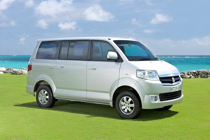 Shore Excursion: Private Bali Car Rental Service - Additional Information and Support