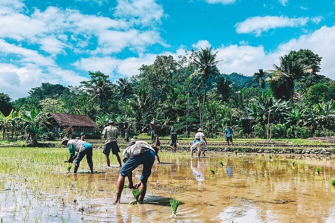 Sidemen Trekking With a Close View of Mt Agung - Customer Support Details