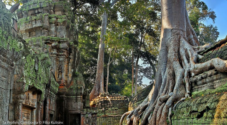 Siem Reap: Angkor Wat: Small-Group Sunrise Tour - Booking Options