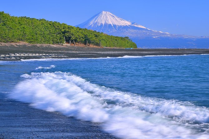 Sightseeing Around Shimizu Port for Cruise Ship Passengers - Shopping Destinations Around Shimizu