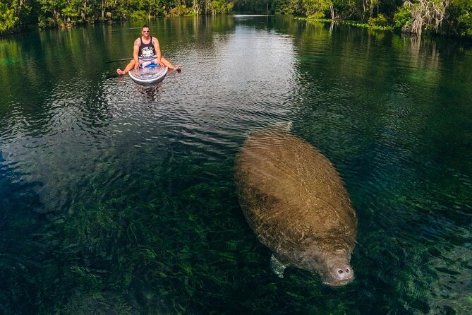 Silver Springs: Clear Kayak Wildlife Adventure - Scenic Beauty of Silver Springs