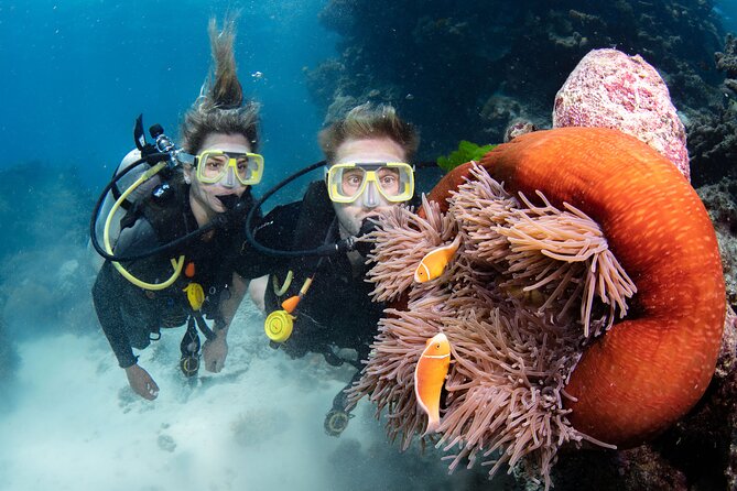 Silverswift Dive and Snorkel Great Barrier Reef Cruise - Cancellation Policy