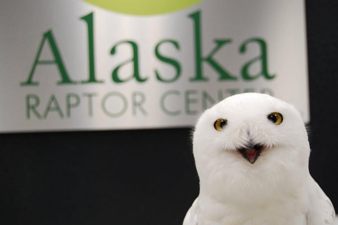 Sitka Tour: Raptor Center, Fortress of the Bears, Totems - Customer Feedback