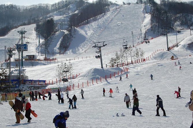 Ski Tour to Jisan Ski Resort From Seoul - Additional Information