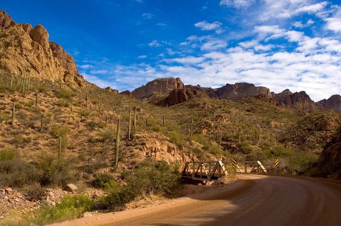 Small Group Apache Trail Day Tour With Dolly Steamboat From Phoenix - Additional Information and Services