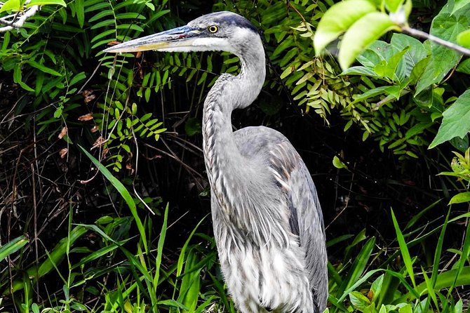 Small Group Florida Keys Eco Tour by Boat - Pricing and Value Proposition