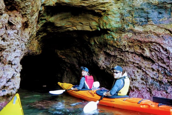 Small Group Guided Sea Kayaking in Akaroa Marine Reserve - Reviews and Pricing