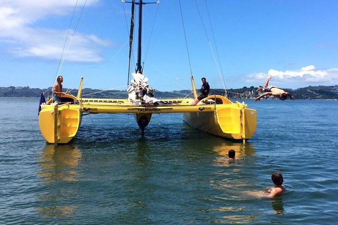Small-Group Half-Day Sailing Tour With Snorkeling, Cooks Beach  - Whitianga - Alcoholic Beverages Provided