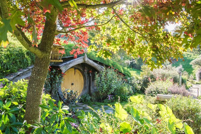 Small-Group Hobbiton and Waitomo Day Tour With Lunch From Auckland - Traveler Experiences