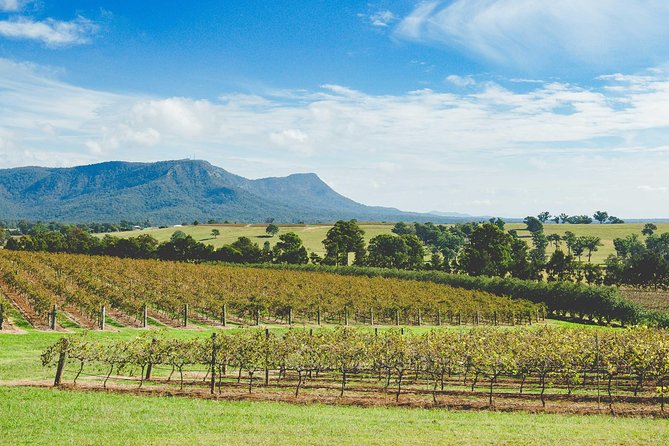Small-Group Hunter Valley Wine & Cheese Tasting Tour From Sydney - Reviews