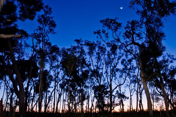 Small Group Kangaroo Island Evening and Night Tour - Additional Details