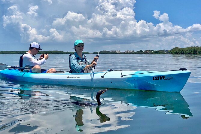Small Group Kayak Tour of the Shell Key Preserve - Sum Up