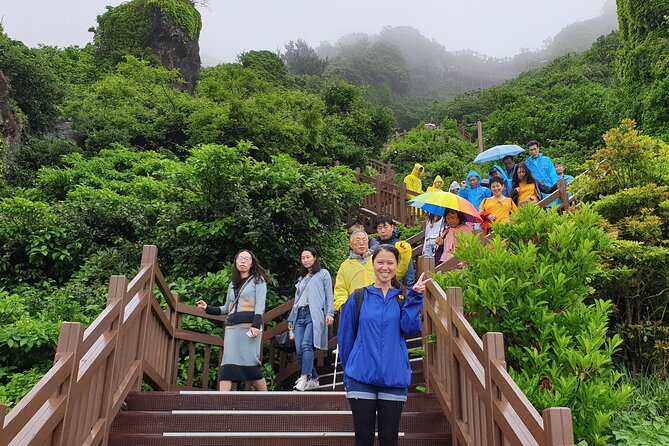 Small Group Private Taxi Tour DAY Experience in Jeju Island - Safety Guidelines