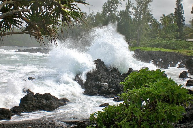 Small-Group Road to Hana Luxury Tour - Response and Value