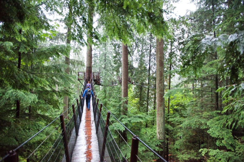 Small Group Tour of Capilano Bridge & Grouse Mountain - Transportation and Pick-Up