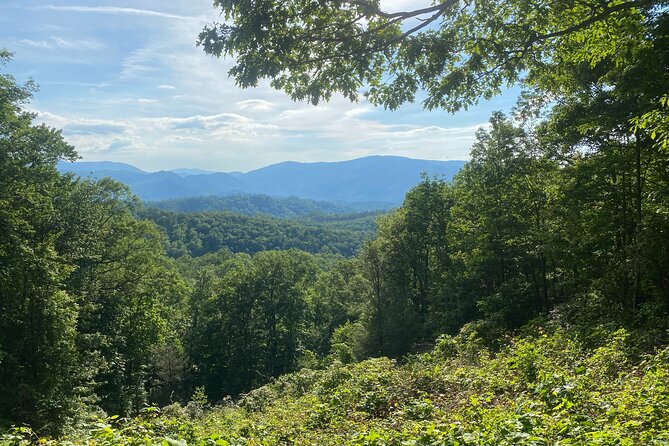 Smoky Mountains Roaring Fork Guided Sightseeing Tour by Jeep - Tips for an Enjoyable Tour