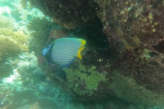 Snorkeling And West Penida Beach Tour All Inclusive - Reviews and Ratings
