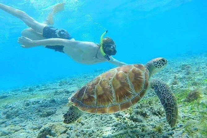 Snorkeling at Blue Lagoon Beach With Lunch and Private Transfer - Activities and Sightseeing Highlights