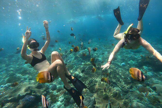 Snorkeling In Nusa Penida Departing From Bali Island - Challenges and Limitations