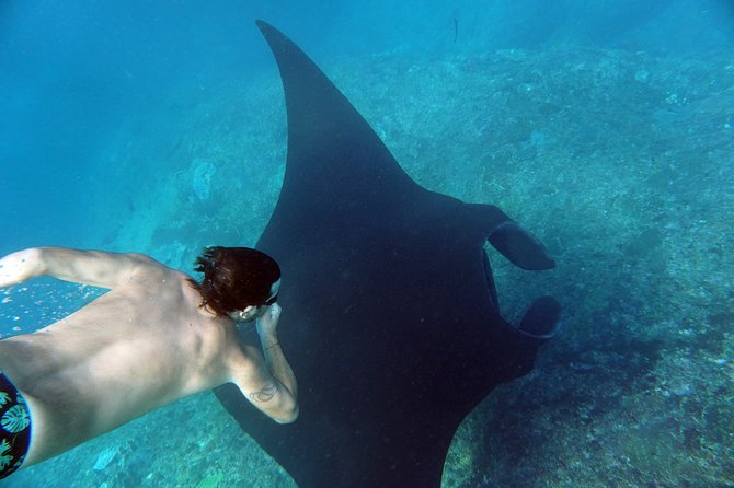 Snorkelling With Manta Rays - Manta Ray Etiquette for Swimmers