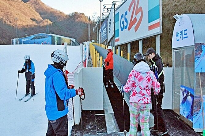 Snow or Ski Day Trip to Elysian Ski Resort From Seoul - No Shopping - Traveler Experience and Reviews