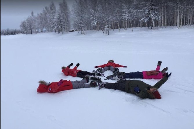 Snowshoe Tour at Chena Lakes - Tour Overview