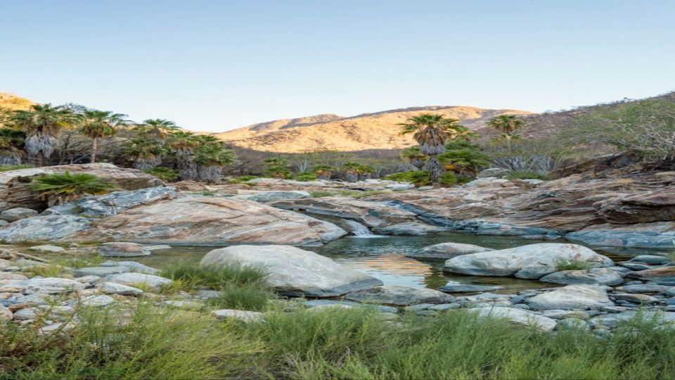 Sol De Mayo Oasis: Explore Natural Springs and Charming Town - Inclusions