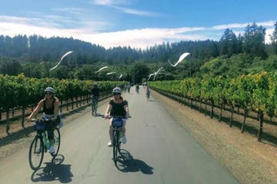 Sonoma County: Wine Tasting and Biking in Healdsburg - Additional Information