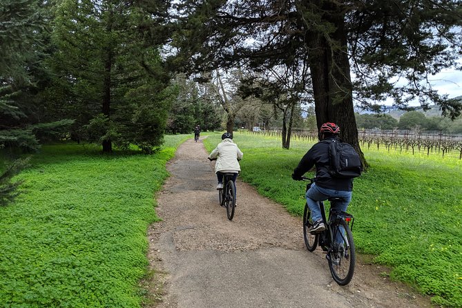 Sonoma Valley Pedal Assist Bike Tour With Lunch - Additional Information