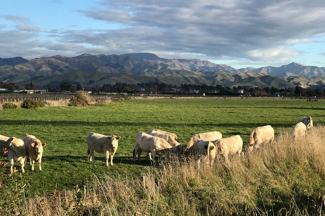 South Island Road Trip Delights: Custom Multi Day 14D : 13N - Directions