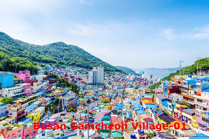 Sparkling of Korea 8days 7nights Temple Stay and KTX Train - KTX Train Adventure