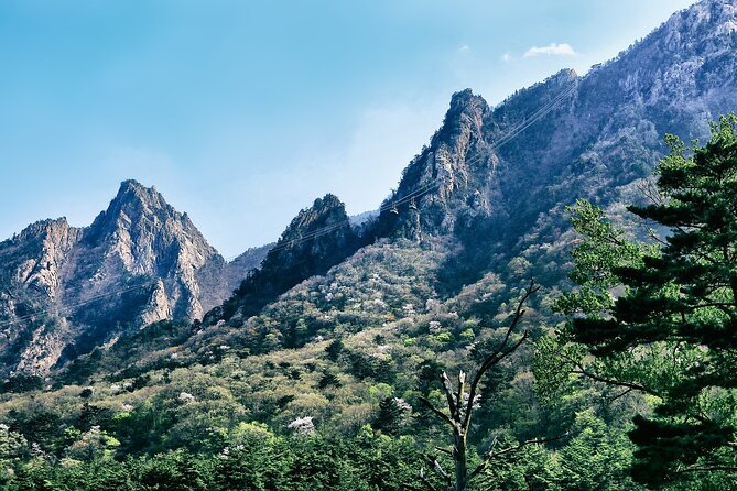 Special Private Tour Mt. Seorak, Gwongeum Fortress, Naksan Beach - Knowledgeable Guide