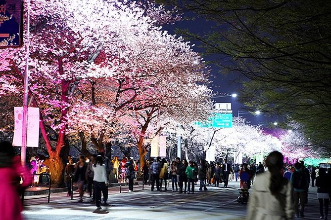 Spring 6 Days Cherry Blossom Jeju&Busan&Jinhae&Gyeongju on 31 Mar to 10 Apr - Tour Questions