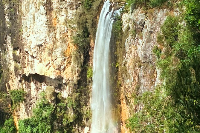 Springbrook National Park Shared Waterfalls Tour  - Surfers Paradise - Directions