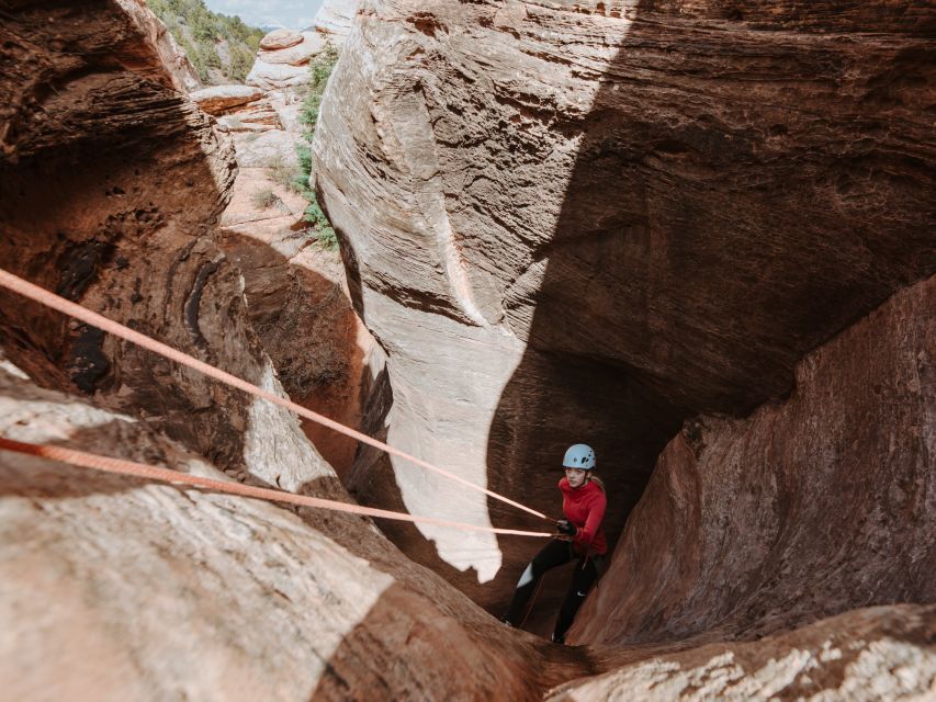 Springdale: Half-Day Canyoneering and Climbing Adventure - Key Points