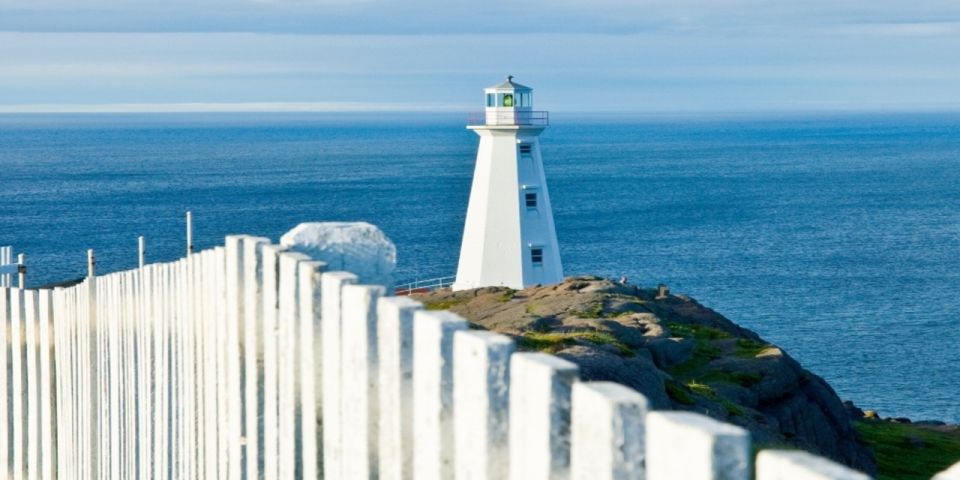 St. John'S: Small Group Tour With Iceberg Quest Boat Cruise - Customer Reviews