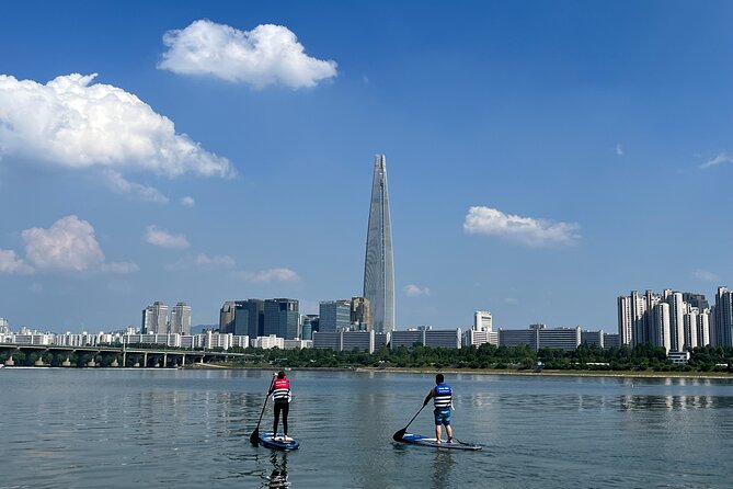Stand Up Paddle Board (SUP) and Kayak Activities in Han River - Customer Reviews and Experience Highlights