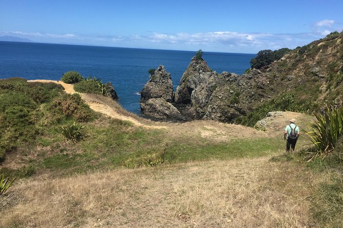Stunning Auckland East Coast Walk & Wine Private Tour - Private Tour Inclusions