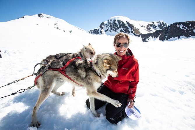 Summer Glacier Dogsledding Tour From Girdwood - Additional Information