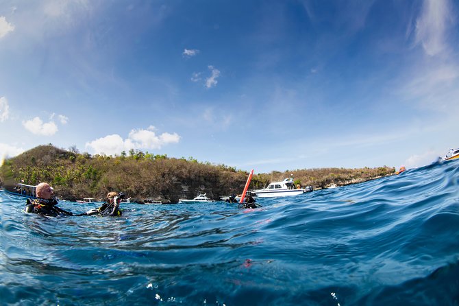 Sun Fish/ Mola Mola Nusa Penida Scuba Diving Trip - Wildlife Encounters