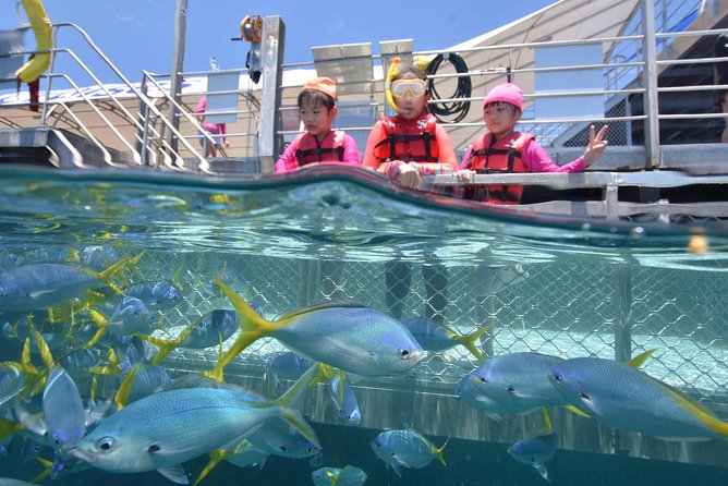 Sunlover Reef Cruises Cairns Great Barrier Reef Experience - Tour Information