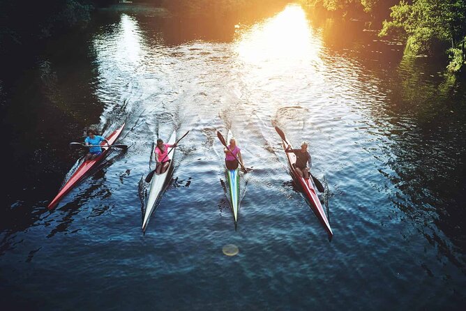 Sunrise Sea Kayaking Tour in Auckland - Pricing and Copyright